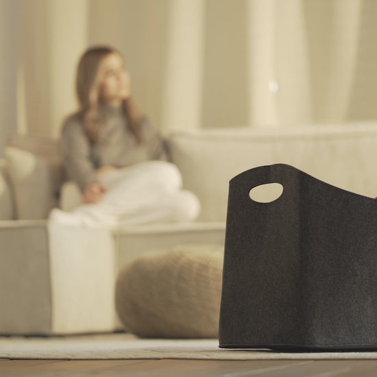 Kaminholztasche aus Filz oval - Produktvideo